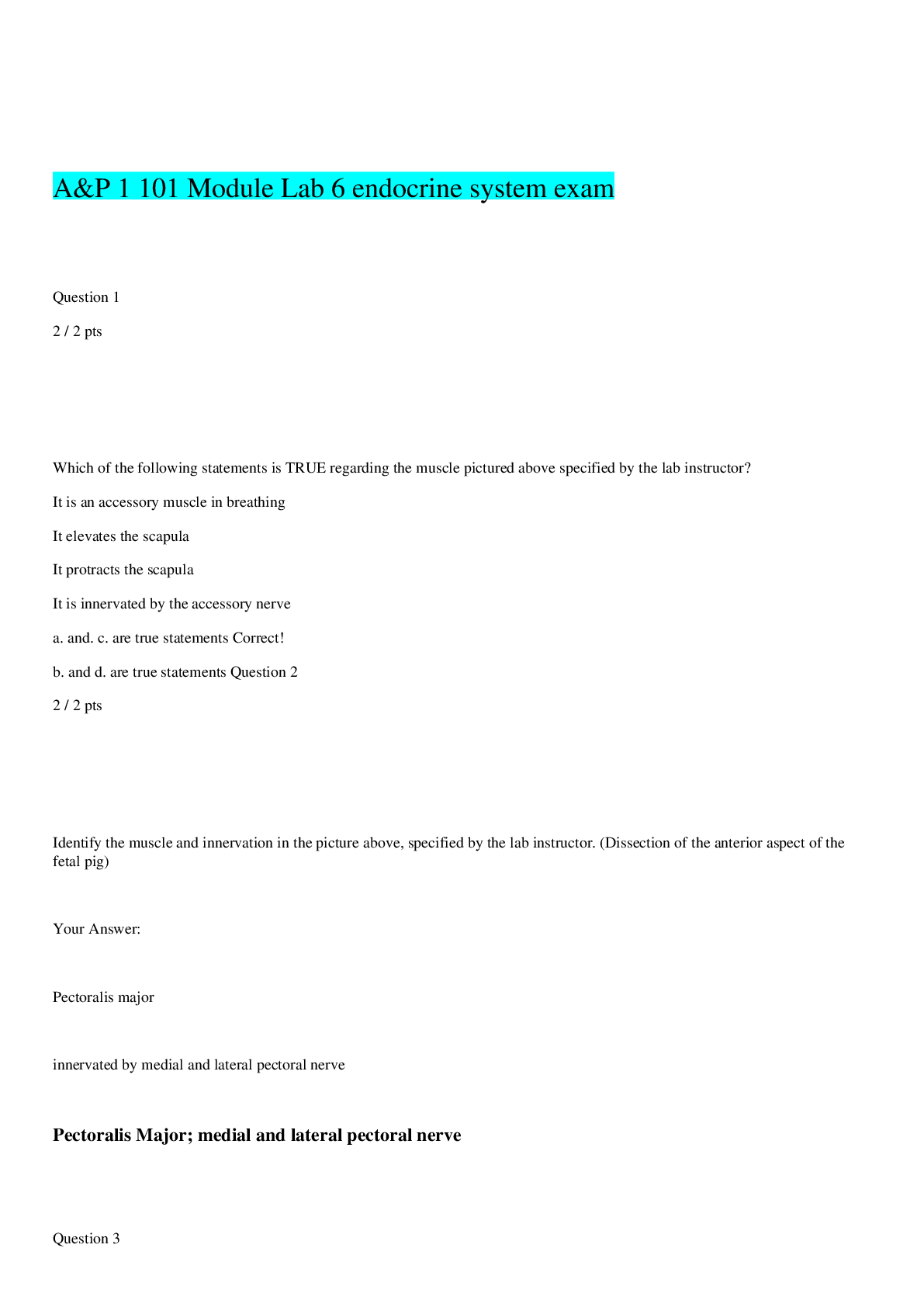 Preview image for A&P 1 101 Module Lab 6 exam 6 endocrine system